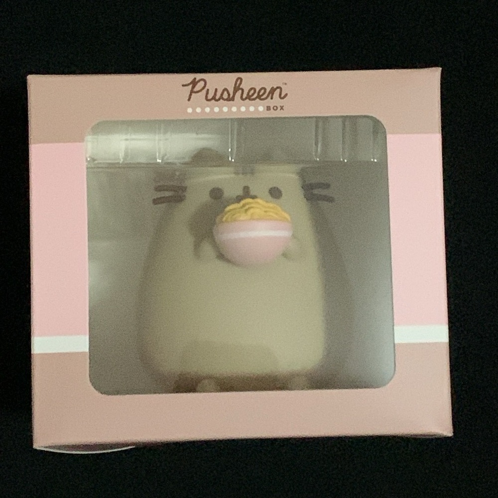 NWT Pusheen Ramen Vinyl Figure